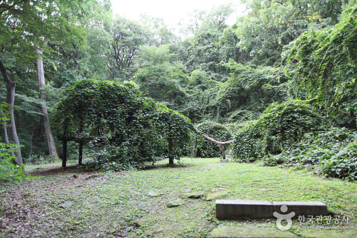 Changdeokgung Secret Garden Reservation Guide: Huwon Is All About Timing guide image