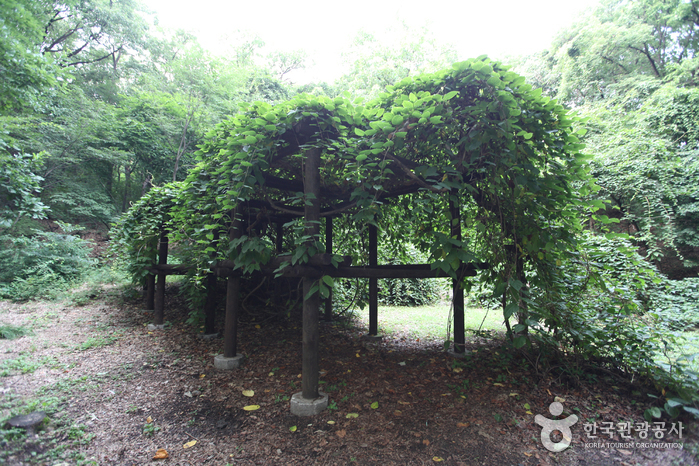 changdeokgung the secret garden huwon