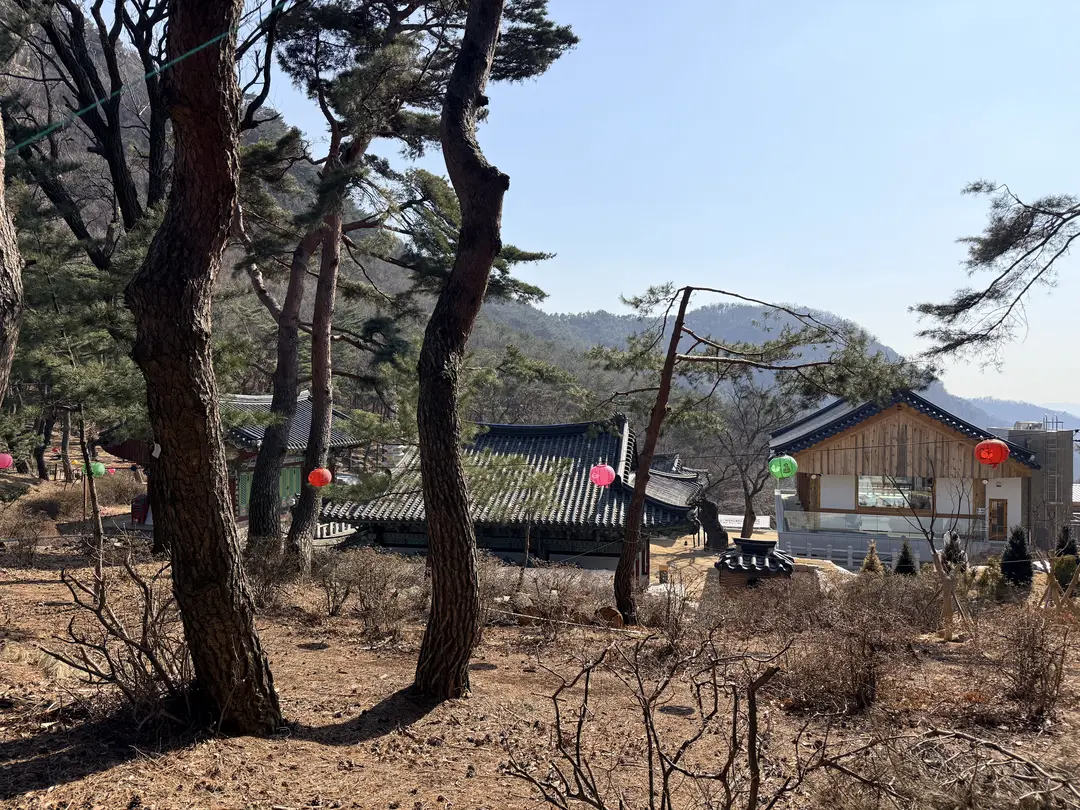 Traditional Korean temple set among ancient pine trees on Hoamsan Mountain