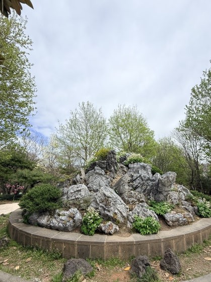 Circular raised rock garden at Jeonju Arboretum with a cluster of weathered gray limestone rocks on a low concrete-edged platform, surrounded by juniper shrubs and early-spring bare-branch trees, stone path visible on either side