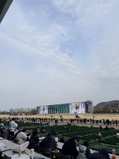 View from indoor seating area at Let’s Run Park Seoul over the wide dirt race track, with a large LED scoreboard across the track displaying race data and apartment buildings in the background