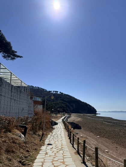 Stone-paved coastal walking path at Cheonbuk Gulttara-gil with wooden rope fencing alongside a tidal beach on the right, a pine-forested headland ahead, and bright winter sun in a clear blue sky