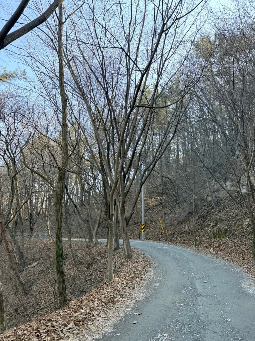 Quiet paved forest path curving through bare winter deciduous trees at Seongbuk-dong Forest Bathing Area, dry leaves covering the ground on both sides, a yellow caution sign visible in the distance