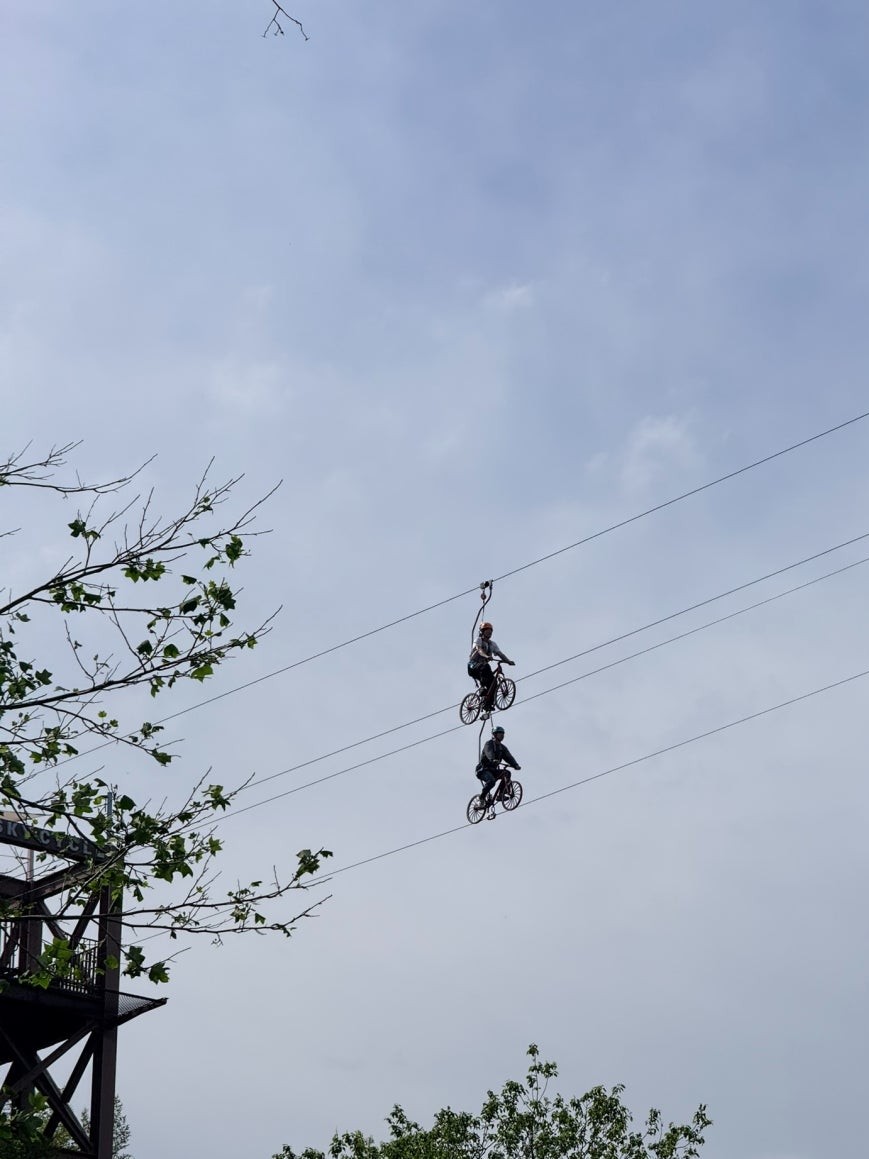 Two sky bike riders on bicycle frames suspended from a steel cable at Dojaebigol, photographed from below with bare tree branches and a wooden tower platform visible against an overcast sky